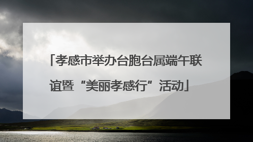 孝感市举办台胞台属端午联谊暨“美丽孝感行”活动