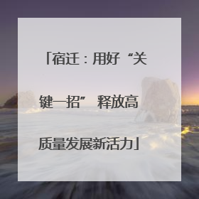宿迁：用好“关键一招” 释放高质量发展新活力