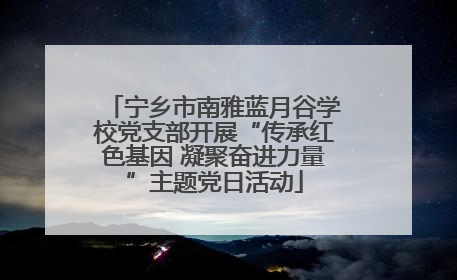 宁乡市南雅蓝月谷学校党支部开展“传承红色基因 凝聚奋进力量”主题党日活动