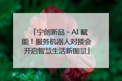宁创新品・AI 赋能！服务机器人对接会开启智慧生活新图景