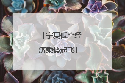 宁夏低空经济乘势起飞