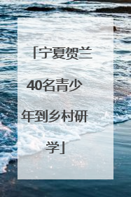 宁夏贺兰40名青少年到乡村研学