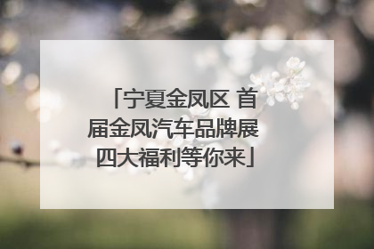 宁夏金凤区 首届金凤汽车品牌展四大福利等你来
