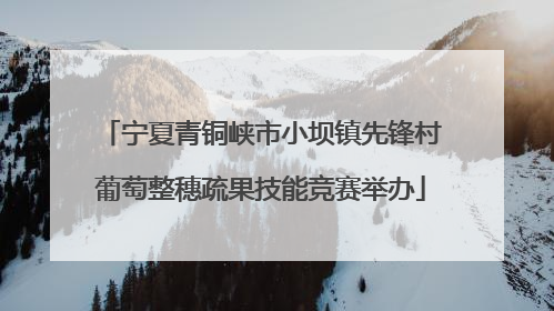 宁夏青铜峡市小坝镇先锋村葡萄整穗疏果技能竞赛举办