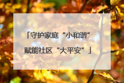 守护家庭“小和谐” 赋能社区“大平安”
