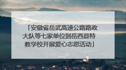 安徽省岳武高速公路路政大队等七家单位到岳西县特教学校开展爱心志愿活动