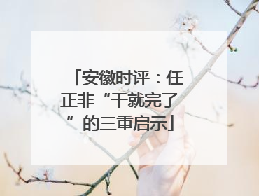 安徽时评：任正非“干就完了”的三重启示