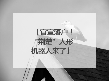 官宣落户！“荆楚”人形机器人来了