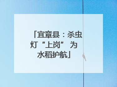 宜章县：杀虫灯“上岗” 为水稻护航