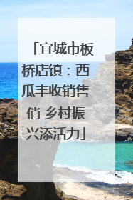 宜城市板桥店镇：西瓜丰收销售俏 乡村振兴添活力