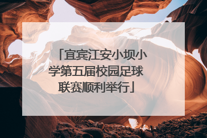 宜宾江安小坝小学第五届校园足球联赛顺利举行