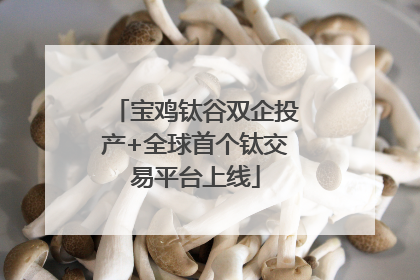 宝鸡钛谷双企投产+全球首个钛交易平台上线