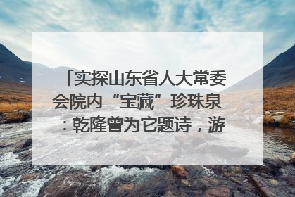 实探山东省人大常委会院内“宝藏”珍珠泉：乾隆曾为它题诗，游客无需预约免费游览