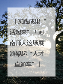 实践成果“活起来”！河南师大这场展演架起“人才直通车”