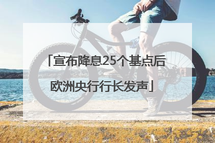 宣布降息25个基点后 欧洲央行行长发声