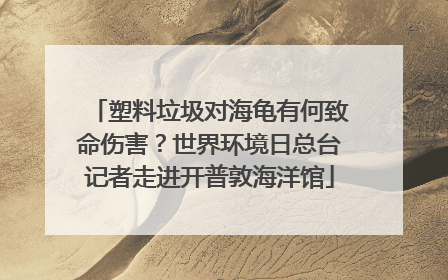 塑料垃圾对海龟有何致命伤害？世界环境日总台记者走进开普敦海洋馆
