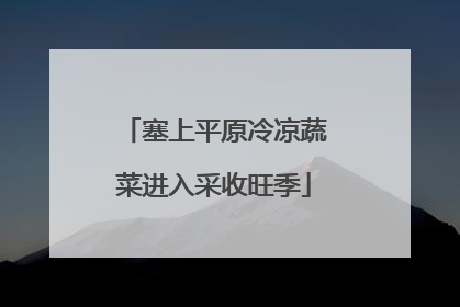 塞上平原冷凉蔬菜进入采收旺季