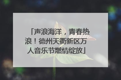 声浪海洋，青春热浪！德州天衢新区万人音乐节燃情绽放