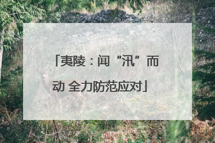 夷陵：闻“汛”而动 全力防范应对