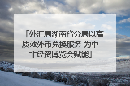 外汇局湖南省分局以高质效外币兑换服务 为中非经贸博览会赋能