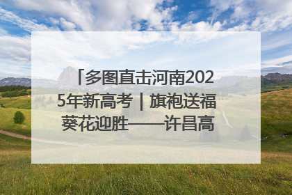 多图直击河南2025年新高考｜旗袍送福 葵花迎胜——许昌高考首日拉开帷幕