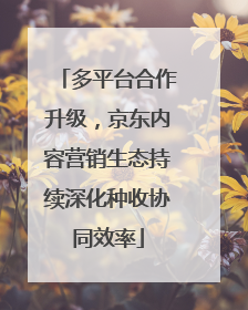 多平台合作升级，京东内容营销生态持续深化种收协同效率