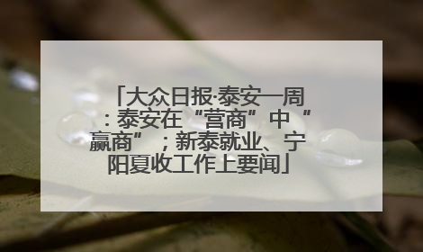 大众日报·泰安一周：泰安在“营商”中“赢商”；新泰就业、宁阳夏收工作上要闻