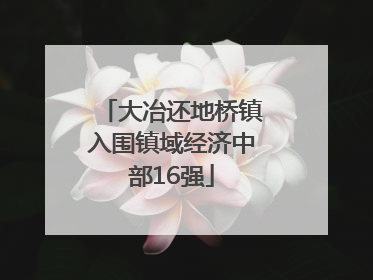 大冶还地桥镇入围镇域经济中部16强