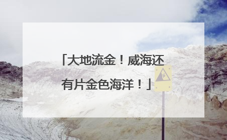 大地流金！威海还有片金色海洋！