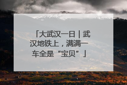 大武汉一日｜武汉地铁上，满满一车全是“宝贝”