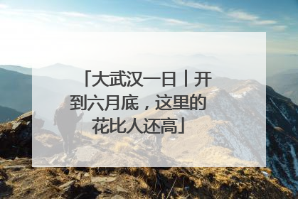 大武汉一日︱开到六月底，这里的花比人还高