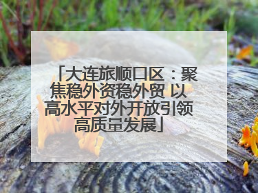 大连旅顺口区：聚焦稳外资稳外贸 以高水平对外开放引领高质量发展