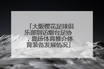 大阪樱花足球俱乐部到访烟台足协，鹿扬体育推介体育装备发展情况