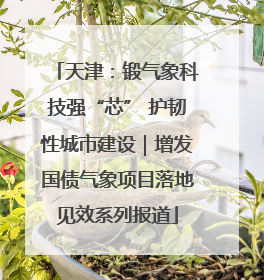 天津：锻气象科技强“芯” 护韧性城市建设｜增发国债气象项目落地见效系列报道