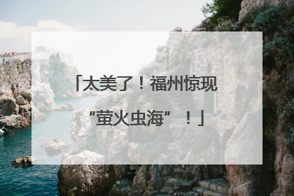 太美了！福州惊现“萤火虫海”！