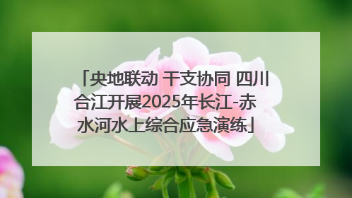 央地联动 干支协同 四川合江开展2025年长江-赤水河水上综合应急演练