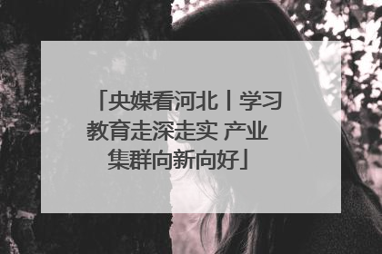央媒看河北丨学习教育走深走实 产业集群向新向好