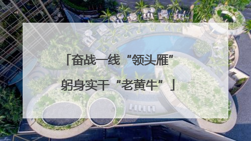 奋战一线“领头雁” 躬身实干“老黄牛”