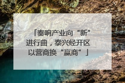 奏响产业向“新”进行曲，泰兴经开区以营商换“赢商”