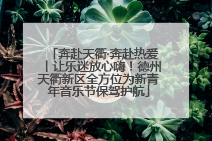 奔赴天衢·奔赴热爱丨让乐迷放心嗨！德州天衢新区全方位为新青年音乐节保驾护航