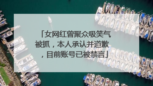 女网红曾聚众吸笑气被抓，本人承认并道歉，目前账号已被禁言