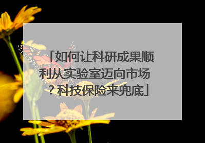如何让科研成果顺利从实验室迈向市场？科技保险来兜底