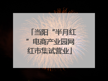 当阳“半月红”电商产业园网红市集试营业