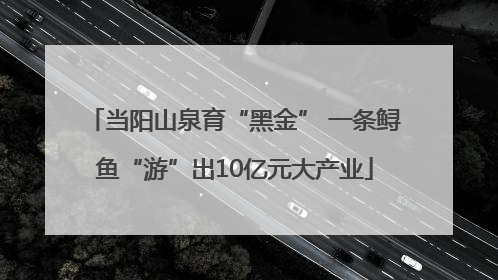 当阳山泉育“黑金” 一条鲟鱼“游”出10亿元大产业