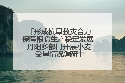 形成抗旱救灾合力 保障粮食生产稳定发展 丹阳多部门开展小麦受旱情况调研