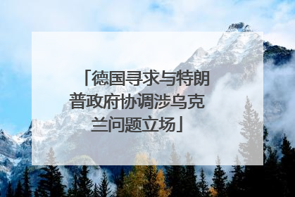 德国寻求与特朗普政府协调涉乌克兰问题立场