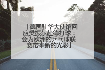 德国驻华大使馆回应樊振东赴德打球：会为欧洲的乒乓球联赛带来新的光彩