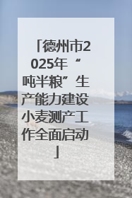 德州市2025年“吨半粮”生产能力建设小麦测产工作全面启动