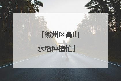 徽州区高山水稻种植忙