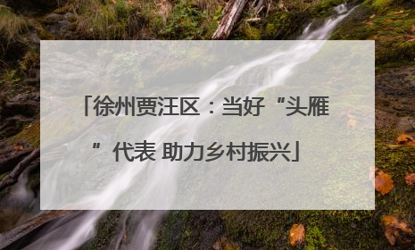 徐州贾汪区：当好“头雁”代表 助力乡村振兴